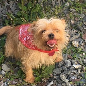 Meet your Posher, Laura